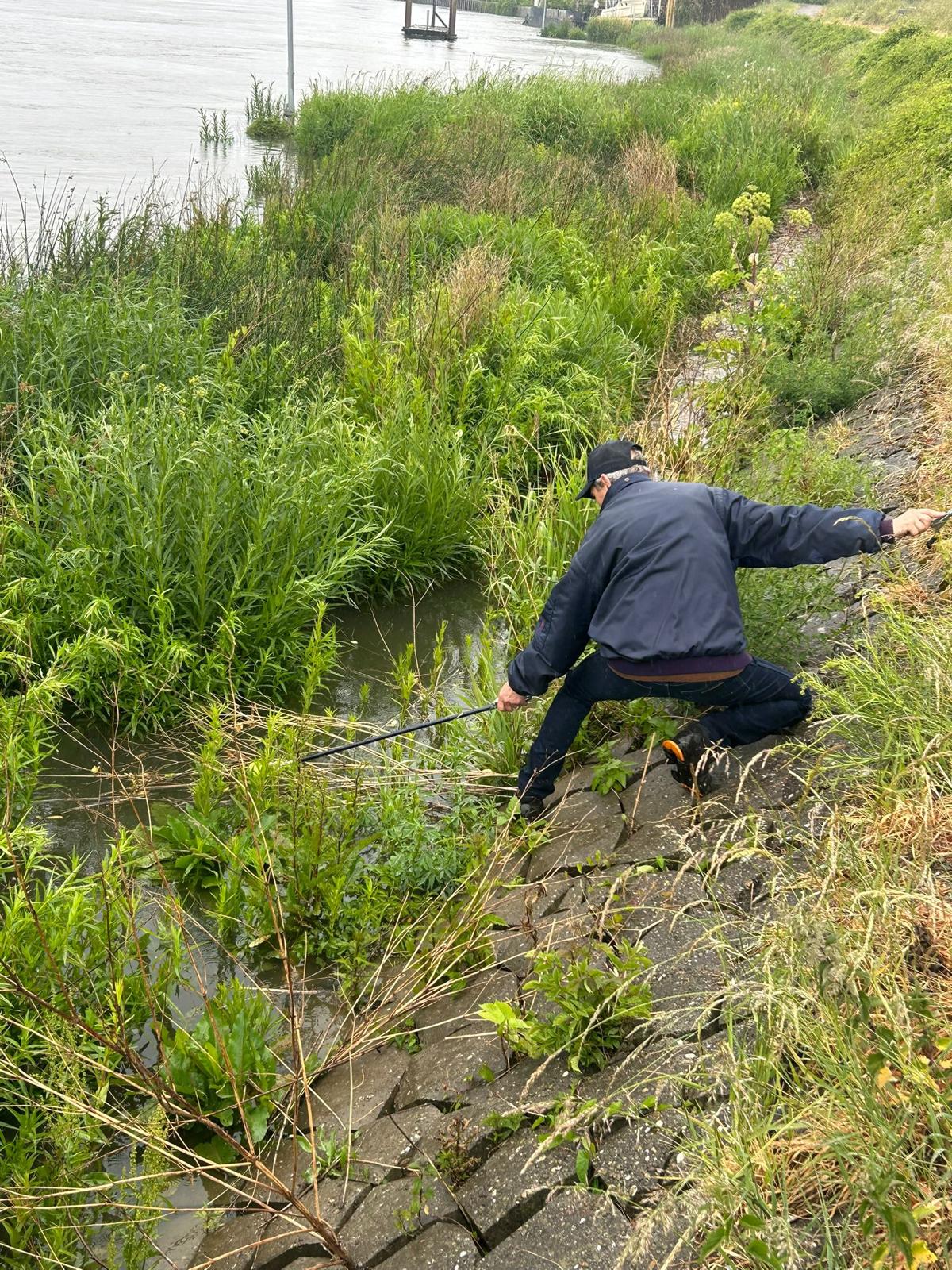 Vrijwilliger reikt naar afval langs de waterkant